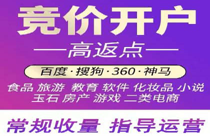 SEM竞价托管案例：提升广告效果的关键策略